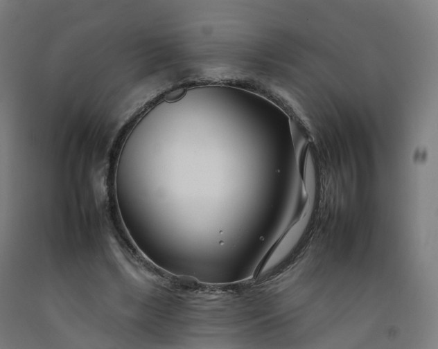 X0000092260443200709281207