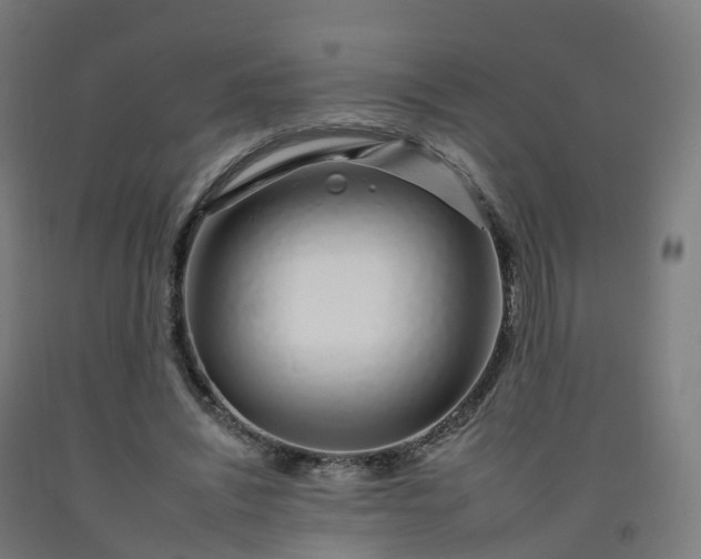 X0000092260444200709281207