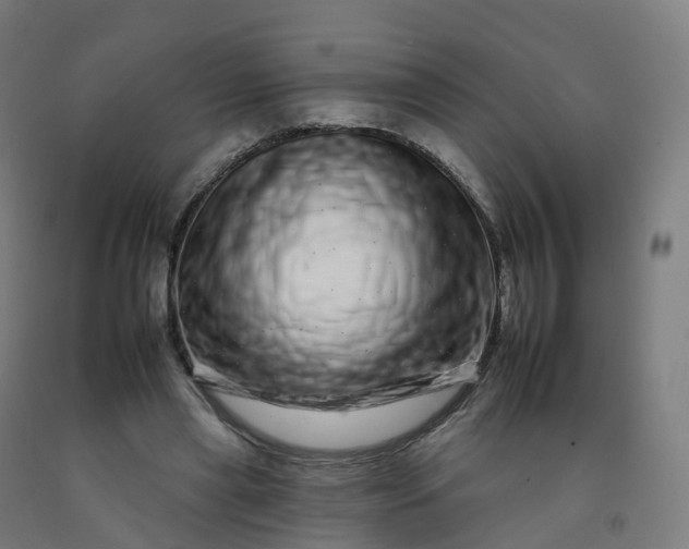 X0000092260445200709281207