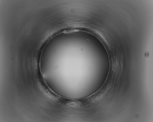 X0000092260447200709281207