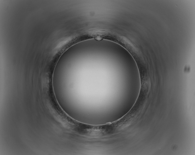 X0000092260448200709281207