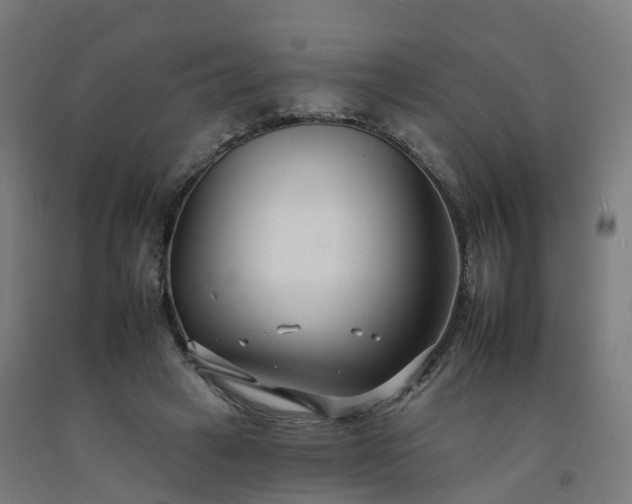 X0000092260449200709281207