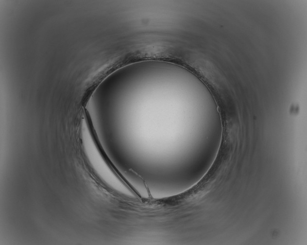 X0000092260450200709281207