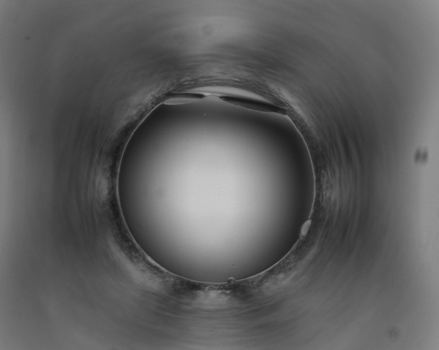 X0000092260451200709281207