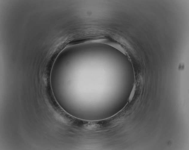 X0000092260452200709281207