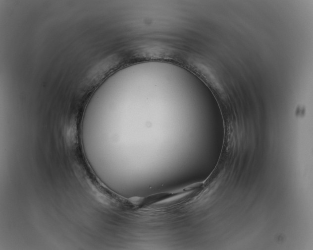 X0000092260453200709281207