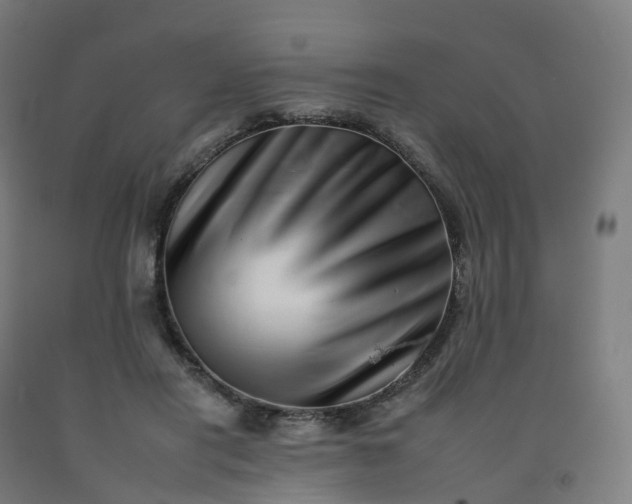 X0000092260454200709281207