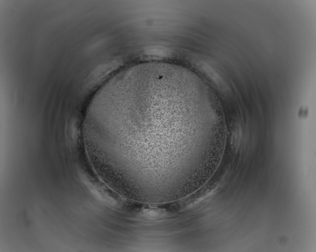 X0000092260455200709281207