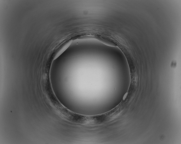 X0000092260456200709281207