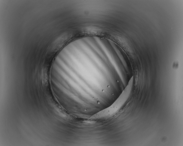 X0000092260457200709281207