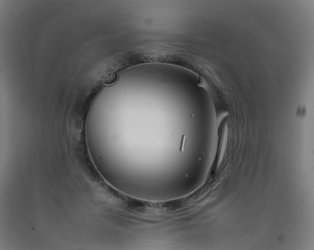 X0000092260458200709281207