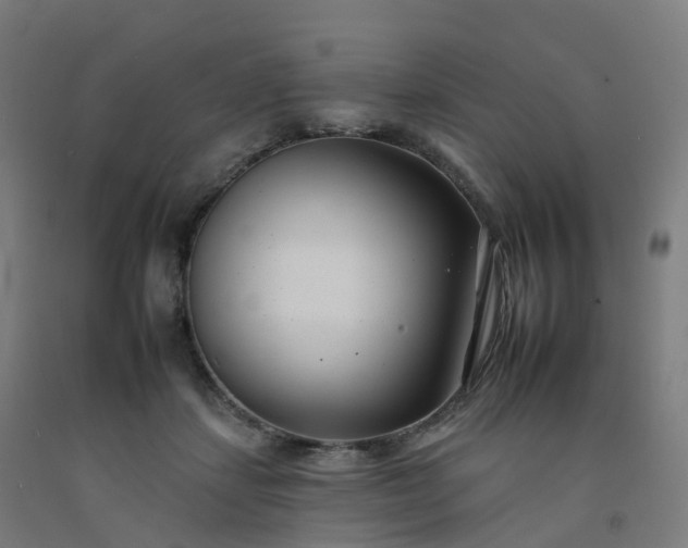 X0000092260459200709281207