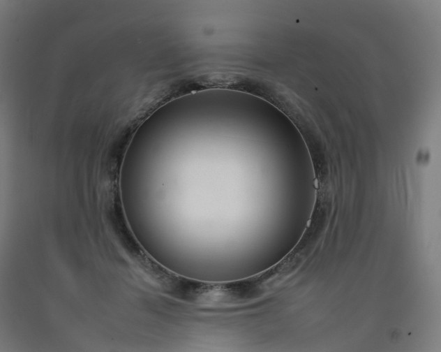 X0000092260460200709281207