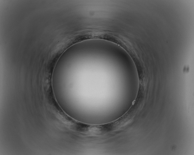 X0000092260462200709281207