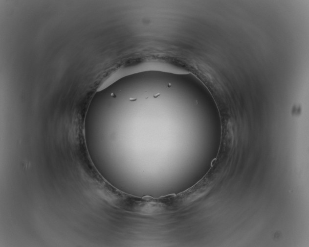 X0000092260463200709281207