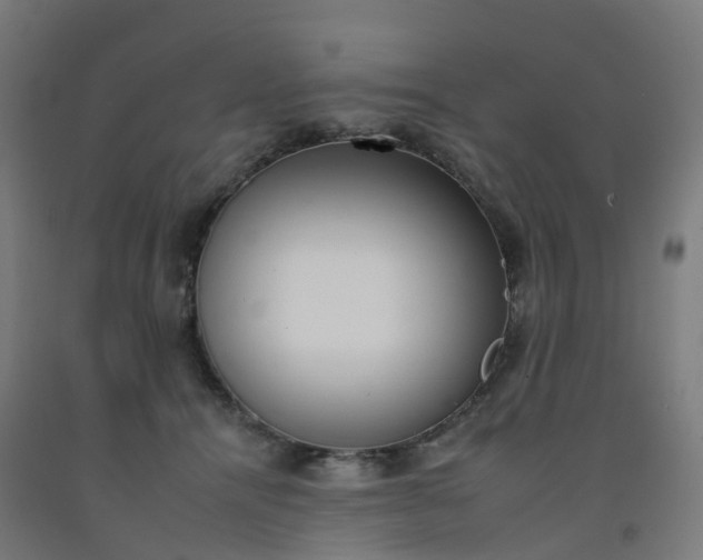 X0000092260464200709281207