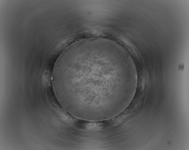 X0000092260465200709281207