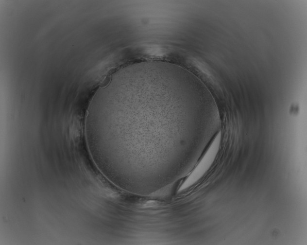 X0000092260467200709281207