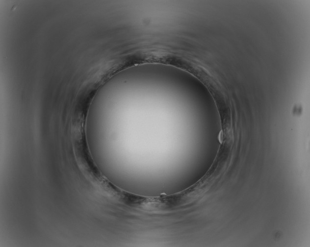 X0000092260468200709281207