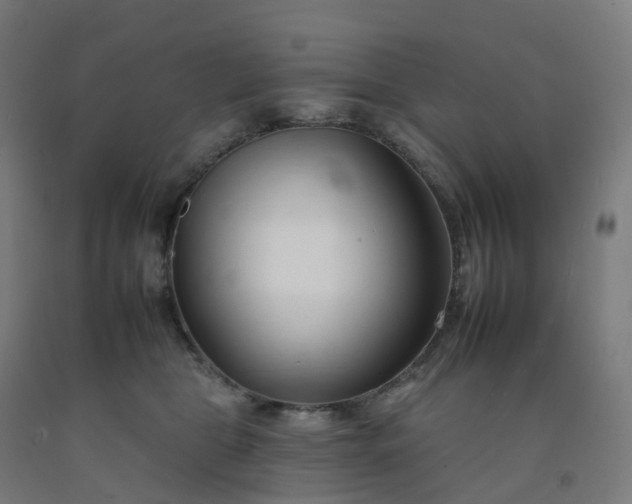 X0000092260469200709281207