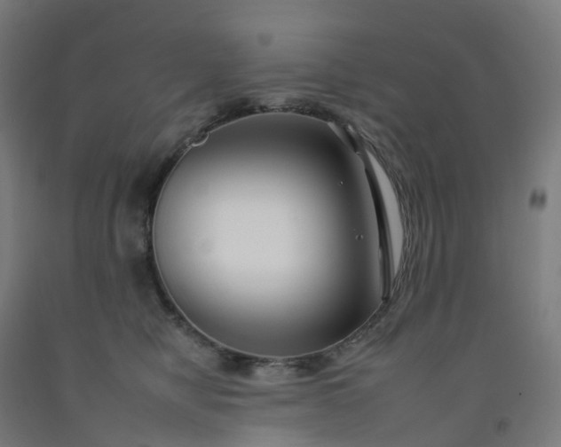 X0000092260470200709281207