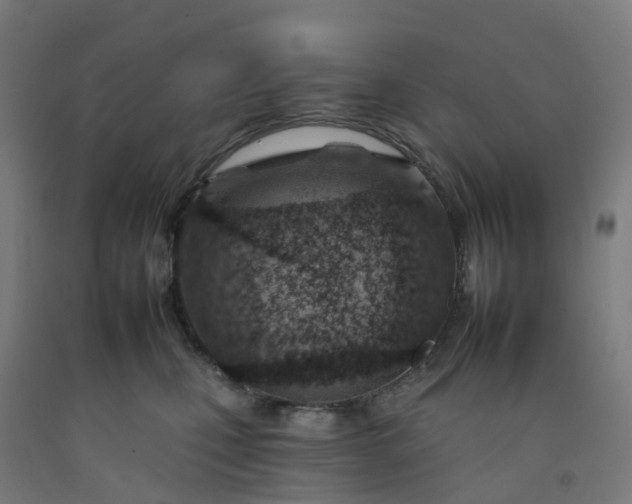 X0000092260471200709281207