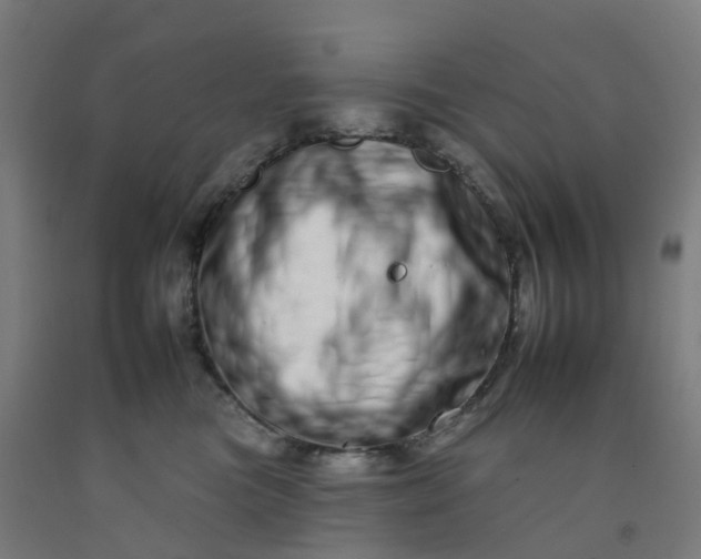 X0000092260473200709281207