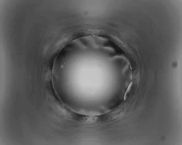 X0000092260474200709281207