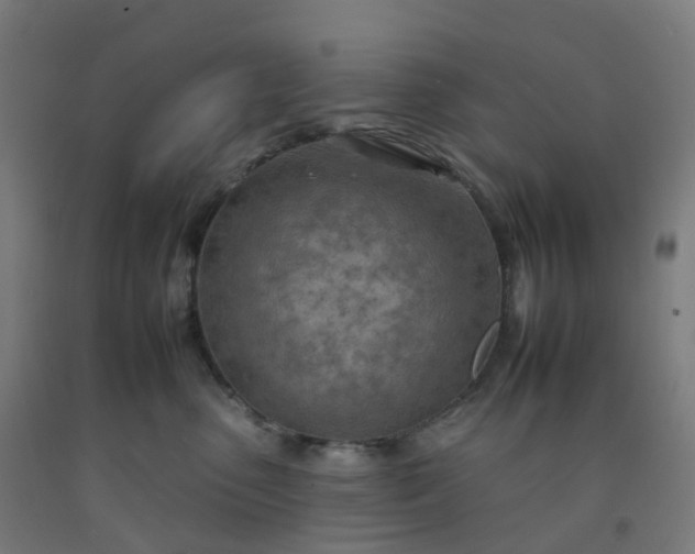 X0000092260475200709281207