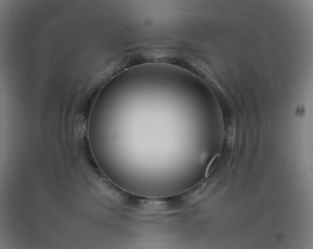 X0000092260476200709281207