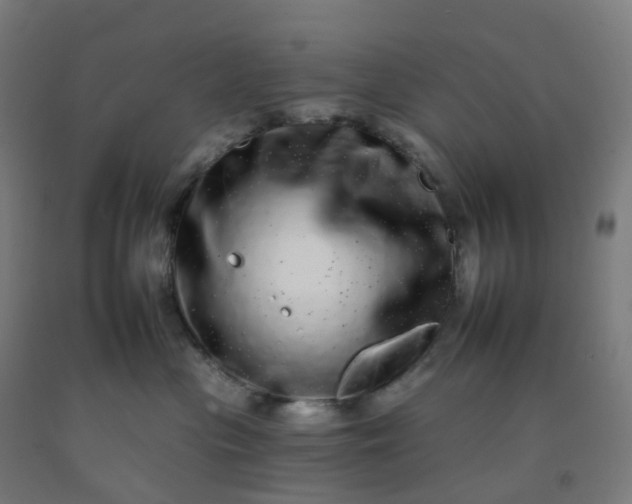 X0000092260477200709281207