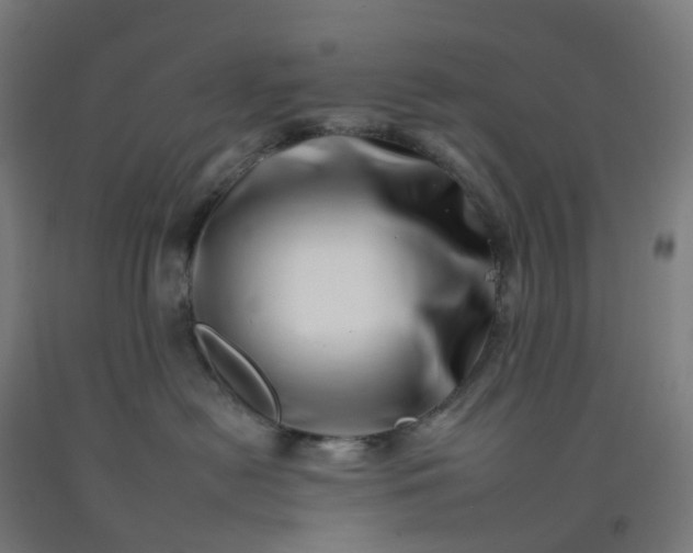 X0000092260478200709281207