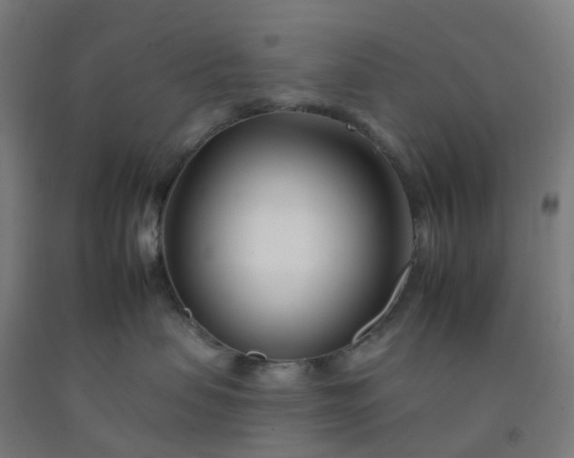 X0000092260479200709281207