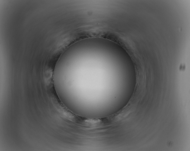 X0000092260480200709281207