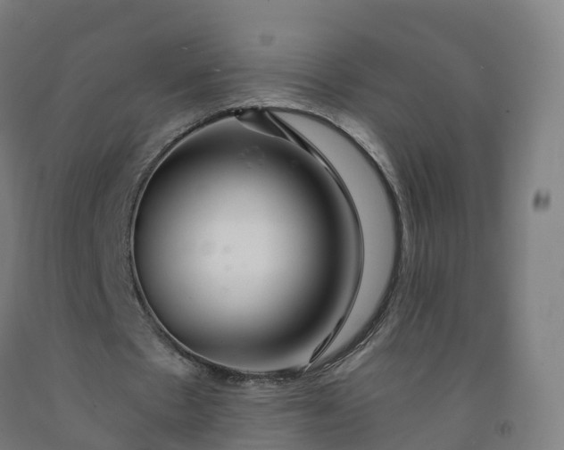 X0000092260481200709281207