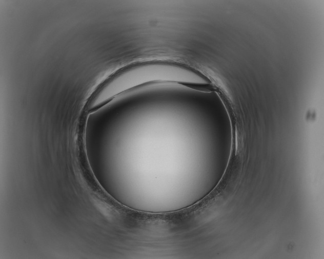 X0000092260483200709281207