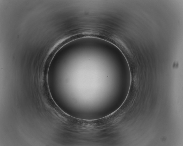 X0000092260484200709281207