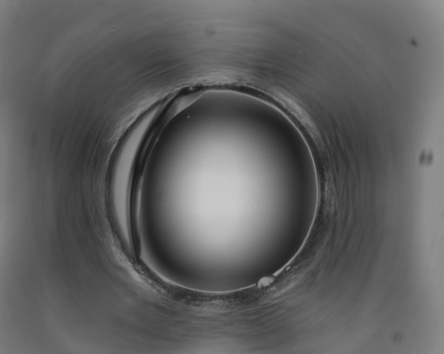 X0000092260485200709281207