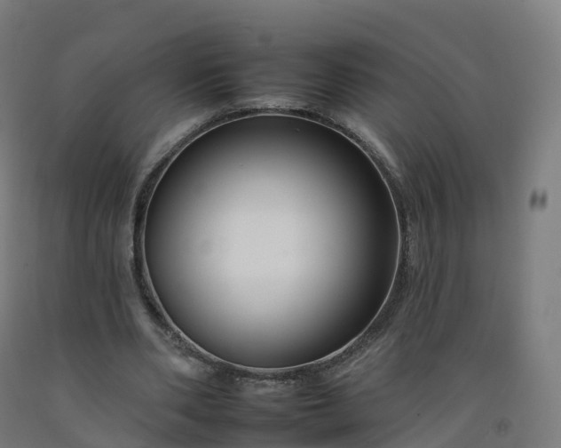 X0000092260486200709281207