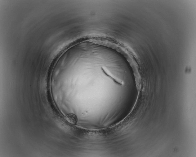 X0000092260487200709281207