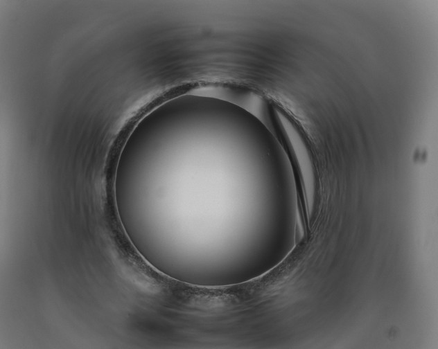 X0000092260488200709281207