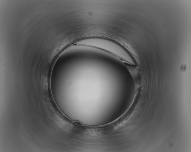 X0000092260489200709281207