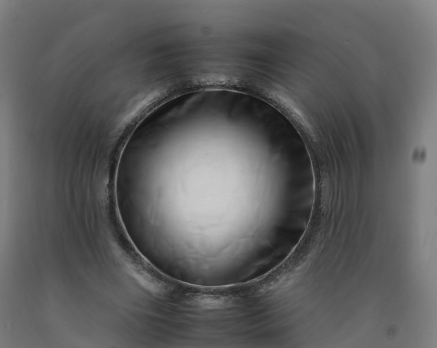 X0000092260490200709281207