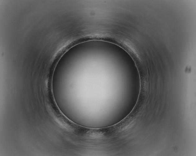 X0000092260491200709281207