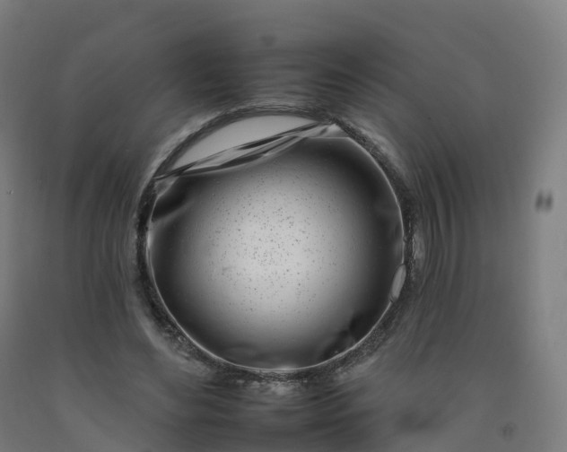 X0000092260492200709281207