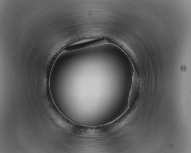 X0000092260493200709281207