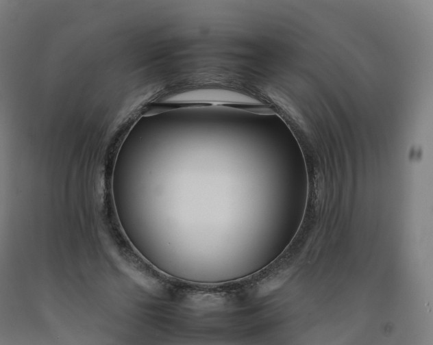 X0000092260494200709281207