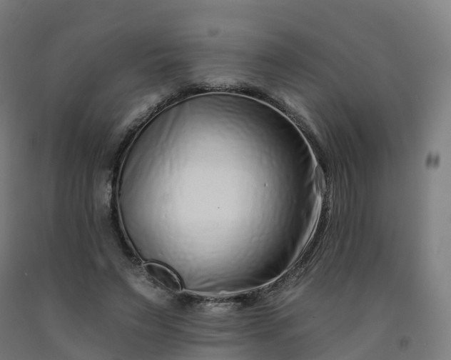 X0000092260495200709281207