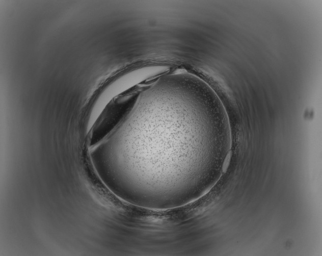 X0000092260496200709281207