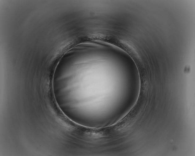 X0000092260498200709281207